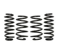 Resorte de suspensión Pro-Kit EIBACH E10-15-007-06-22