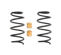 Resorte de suspensión Pro-Kit EIBACH E10-20-006-05-20