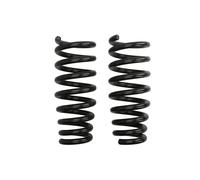 Resorte de suspensión Pro-Kit EIBACH E10-20-015-02-20