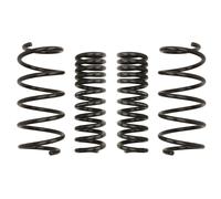 Resorte de suspensión Pro-Kit EIBACH E10-25-019-02-22