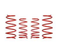 Resorte de suspensión Pro-Kit EIBACH E10-30-010-02-22