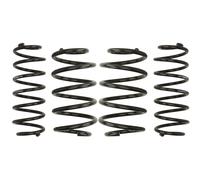 Resorte de suspensión Pro-Kit EIBACH E10-85-024-02-22
