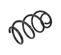 Resorte de suspensión SACHS 993 189