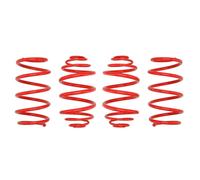 Resorte de suspensión Sportline EIBACH E20-65-001-01-22