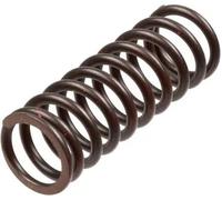 Resorte del embrague Acero MEF302-6 TRW