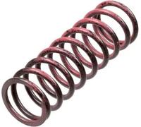 Resorte del embrague Acero MEF313-6 TRW