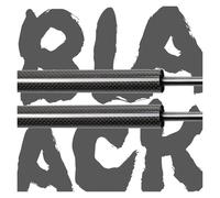 Resorte Gas Capó Para Nissan Para Skyline Para GTR HR34 ER34 1999-2002 Soporte Elevación Amortiguador Resorte Gas Capó Fibra Carbono Amortiguadores Gas Amortiguadores Capó(BLACK CARBON FIBER)