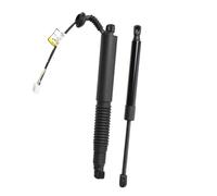 Resorte Gas Maletero 1 Par Amortiguadores Eléctricos Portón Trasero Izquierdo Derecho (1551488-99-B 1551488-00-C 1551488-98-B 1551489-00-B) Para Modelo 3 (2021-2023) Puntales Gasolina