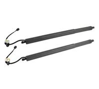 Resorte Gas Maletero 2 piezas 1 par 81831-S8100 81841-S8100 Barra soporte eléctrica trasera izquierda + trasera derecha para Hyundai para Palisade 20-22 Amortiguador portón Trasero