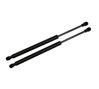 Resorte Gas Maletero Para BMW Para Serie 3 E46 2001-2006 Barras De Soporte De Elevación De Gas Para Portón Trasero 51248254281 51244212802 Amortiguador Maletero