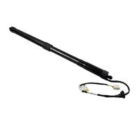 Resorte Gas Maletero Soporte De Elevación Portón Trasero Eléctrico Para Toyota Para RAV4 (2019-2022) Amortiguadores De Gas Eléctricos 6891042060(Rh)