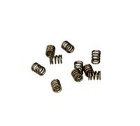 Resorte, inyector Common Rail DELPHI 9308-402B, 10 Pieza