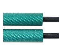 Resortes Gas Capó Muelle Neumático Puntales Capó Varillas Pistón Reacondicionamiento Soporte Elevación Resortes Amortiguadores Para Peugeot 306 Para Fase 2 (N5) 1997-1999 Hatchback(Carbon Fiber Green)