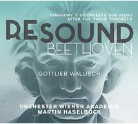 Orchester Wiener Akademie, Gottlieb Wallisch – Resound Beethoven Vol.6 / Haselbock