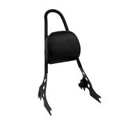 Respaldo conductor Almohadilla Respaldo Desmontable Pasajero Trasero De Motocicleta Para Para Sportster XL 1200 883 72 48 Iron Para Roadster Para Custom 04-2023