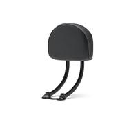 Respaldo del pasajero extraíble Apto para Sportster S 1250 RH1250S 2021 2022, Kit respaldo pasajeros, asientos, barra Sissy corta Cojín portaequipajes(B)