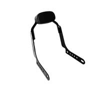 Respaldo del pasajero extraíble Mini respaldo desmontable para motocicleta Sissy Bar, accesorios para Harley Night Rider RH 975 Asidero del respaldo con estructura de motocicleta