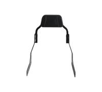 Respaldo del pasajero extraíble Portaequipajes desmontable motocicleta para Harley Softail Low Rider ST FXLRST, respaldo de barra Sissy Cojín portaequipajes