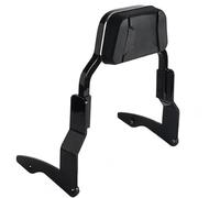 Respaldo Moto Respaldo De Barra Sissy para Motocicleta, Hardware Acoplamiento Equipaje Sigiloso Carretera para Road Glide CVO/SE para Especial para Policía para Ultra ST
