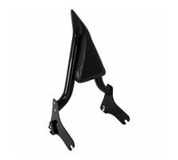 Respaldo Motocicleta Trasero Respaldo De Motocicleta Desmontable con Portaequipajes Trasero Apto para Touring 1997-2008,para Road King,para Electra Glide, Street Glide