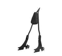 Respaldo pasajero extraíble Ajuste para Harley Sportster XL 883 1200 2004-2022 motocicleta 26 "respaldo del pasajero Sissy Bar negro Trasero Desmontable