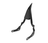 Respaldo pasajero extraíble Respaldo trasero negro para motocicleta, barra Sissy compatible Fit For Honda REBEL 1100 CM1100 CMX1100 2021-2024 Trasero Desmontable