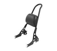 Respaldo Pasajero Motocicleta Respaldo Desmontable De La Barra Sissy del Pasajero De La Motocicleta para para Sportster 883 1200 2004-2022 Respaldo del Pasajero