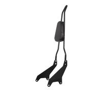 Respaldo Pasajero Trasero Moto Respaldo Trasero Desmontable para Motocicleta con Almohadilla para Asiento De Pasajero, Barra Sissy Bar para Star para Bolt XV950 XVS950 2014-2019
