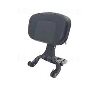 Respaldo Pasajero Trasero Respaldo Multiusos Conductor Y Pasajero, Accesorios Motocicleta Para Forza 350, Con Portaequipajes Plegable
