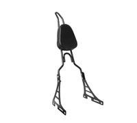 Respaldo Pasajero Trasero Respaldo Trasero Negro Con Cojín Motocicleta Para Para Sportster XL 883 1200 2004-2020 19 18