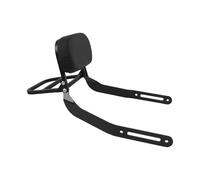 Respaldo trasero para motocicleta, asiento trasero del pasajero, repuesto para Kawasaki Eliminator 500 2024, almohadilla de respaldo desmontable