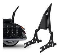 Respaldo Trasero para Pasajero De Motocicleta para Indian Challenger Dark Horse Icon 2022 Accesorios Sissy Bar