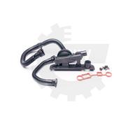 Respiradero Del Cárter De PVC Válvula Reguladora Presión Skv para Audi A3 A4 A6