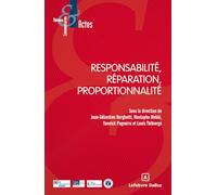 Responsabilité, réparation, proportionnalité