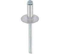 Restagraf 4103 - Remache (4,8 x 12 mm), Color Gris