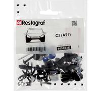 Restagraf 605003D - Necesario de Fijaciones