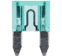 Restagraf - Fusible plano (32 V/30 A, plástico), color verde