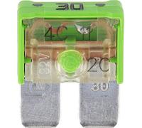 Restagraf - Fusible plano Maxi-Compact para automóviles - Potencia 30 A - Compatible con Citroen, DS, Opel, Peugeot - Ref. 17504 - Bolsa de 5 unidades