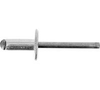 Restagraf - Remache de cabeza ancha de aluminio y varilla de acero, compatible con Dacia, Fiat, Ford, Mitsubishi, Nissan, Opel, Renault - Diámetro 6 mm - Longitud 14 mm - Ref. 11689 - Bolsa de 20