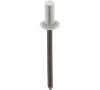 Restagraf - Remache impermeable en bolsa para molduras de parabrisas, 1,6 mm de grosor, 6 mm de longitud, 100 unidades