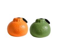 Restikiant Florero Hidropónico de Cerámica, Adornos Decorativos de Mesa para el Hogar, Jardinera de Frutas, Adornos de Cerámica para la Sala de Estar