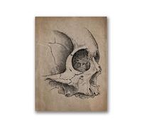 Resumen de anatomía humana abstracta impresiones y carteles Anatómicos Arte pared calavera Pintura Picture Doctor Office(202104NQ585A,A3 30x42cm No Frame)