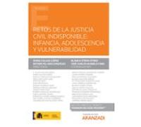 Retos De La Justicia Civil Indispensable: Infancia Adolescencia Y Vuln