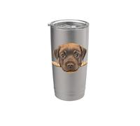 Retrato de cara de primer plano de cachorro labrador retriever negro bebé Vaso térmico de acero inoxidable de doble pared
