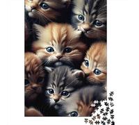 Retrato de Gatitos Puzzle de 1000 Piezas Papel para Adultos Animales Lindos Juego de Puzzle 1000 Piezas Decoración Relajación 70x50cm/1000pcs