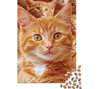 Retrato de Gato Naranja Puzzle de 1000 Piezas Papel para Adultos Varios Gatos Juego de Puzzle Relajante Concentración Decoración Regalo 38x26cm/1000pcs