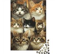 Retrato de Gato Puzzle de 1000 Piezas Papel para Adultos Varios Gatos Juego de Puzzle 1000 Piezas Relajación Decoración Hogar Regalo 70x50cm/1000pcs