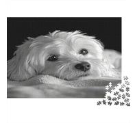 Retrato de Perro Blanco Puzzle Mil Piezas Adultos Y Ni?os Reto Mental para Expertos Elección Amazon Noche En Familia Cartón Premium 38x26cm/1000pcs