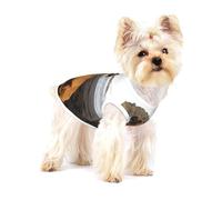Retrato de Perro bóxer marrón Playero,Camiseta de algodón sin Mangas para Mascotas, Chaleco Transpirable, Suave y elástico para Cachorros,L