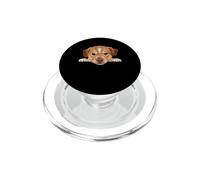Retrato de Perro de Cara de Primer Plano de Cachorro Kangal bebé PopSockets PopGrip para MagSafe